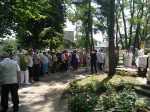 IMG 20180531 120301 (Copy)